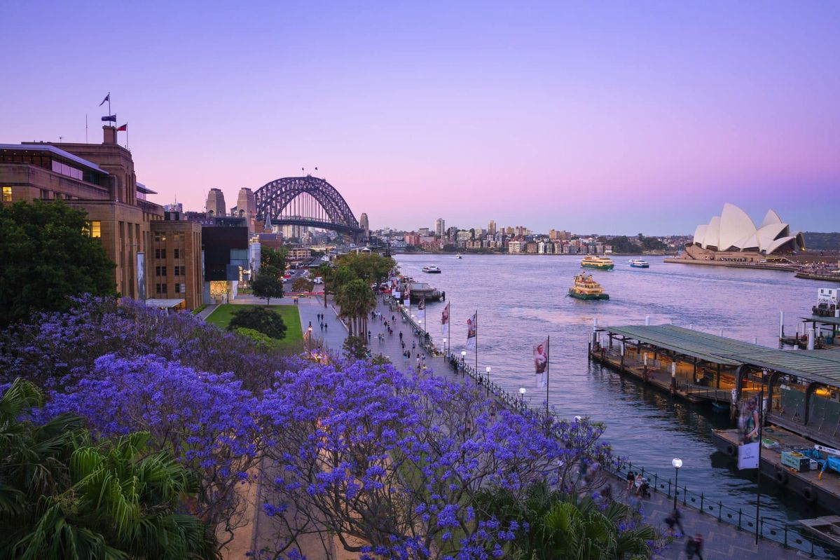 Sydney- Môi trường sống hiện đại và đa văn hóa