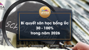 Cùng Levisa tìm hiểu bí quyết săn học bổng 2026