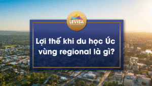 Cùng Levisa tìm hiểu lợi thế khi du học Úc vùng regional và tại sao nhiều du học sinh chọn